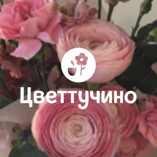 цветтучино / цветы / кофе / доставка цветов / Пермь