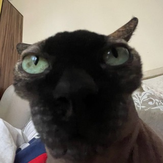 дача сдуха