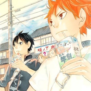 daily + cf haikyuu !!