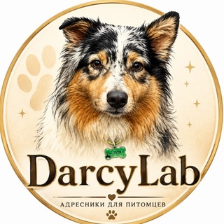 DarcyLab