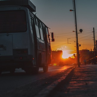 Цифровое Бессмертие
