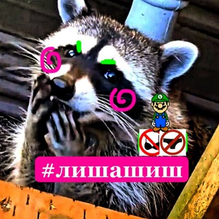 лишашиш🩵