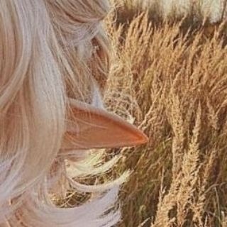 Diary of an elf | Эльфийская эстетика и новости🌙✨
