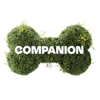 Companion | амуниция для питомцев