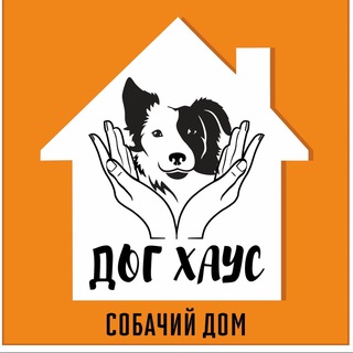 Приют Дог Хаус(Собачий дом) Томск