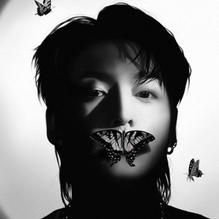 Butterflies in