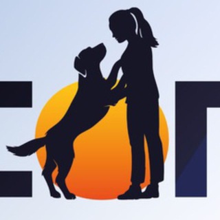 ДИТИКОН/DTCON