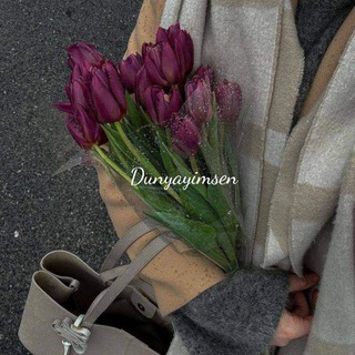 𝑫𝒖𝒏𝒚𝒂𝒚𝒊𝒎𝒔𝒆𝒏💚