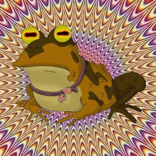 Dzabiý dzień🐸🕊