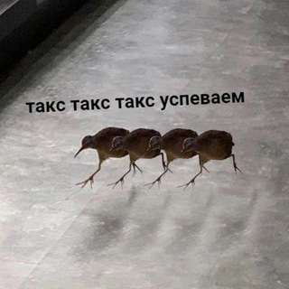 Корпорация «eбaть бс»