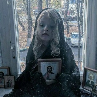 Отзывы