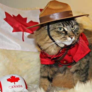 Emily’s life in Canada🇨🇦