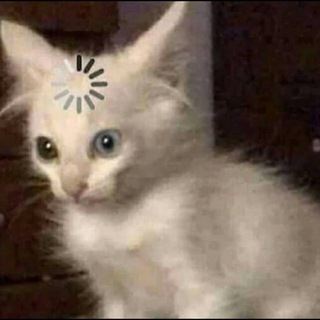 заметки эрни
