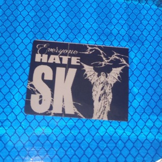 все ненавидят sk