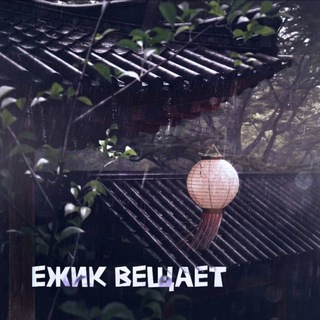 Ежик вещает