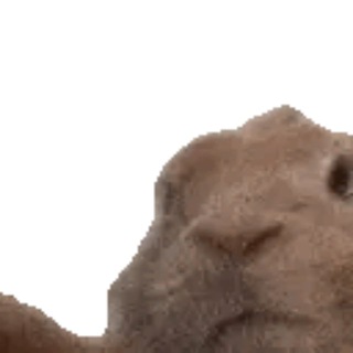 Клиника