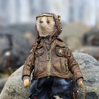 Fedor Explorer