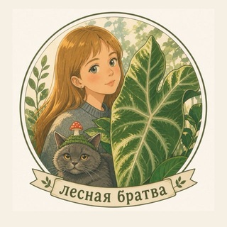Лесная братва🪴