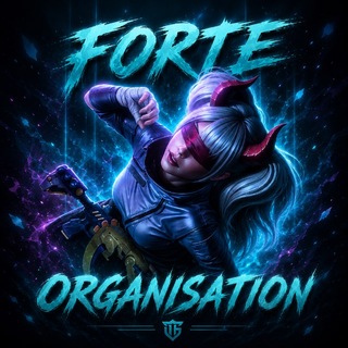 FORTE ORGANISATION