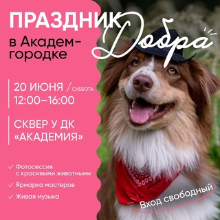 🐶ФотоДляПриюта 20.06 ДК Академия