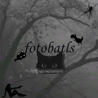•fᴏᴛᴏʙᴀᴛʟs•