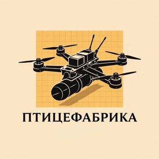 Директор ПТИЦЕФАБРИКИ / ПРОИЗВОДСТВО КАРБОНОВЫХ ДРОНОВ