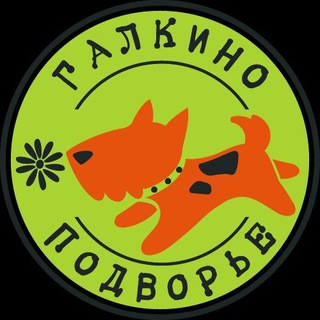 Галкино подворье-приют для животных. Спб