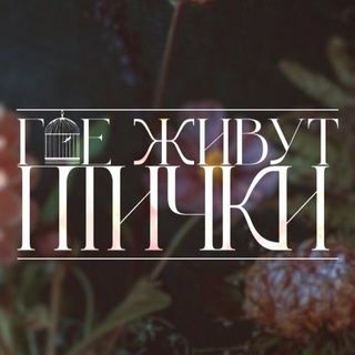 «Где живут птички?»🪶