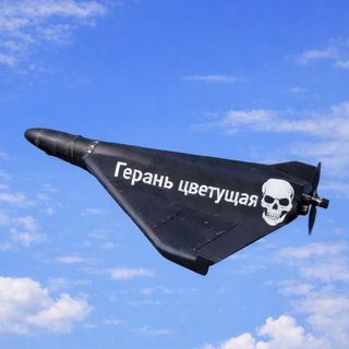 Герань Цветущая™