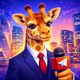 Giraff.Media