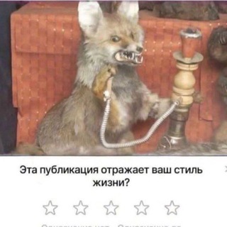 чаща всего