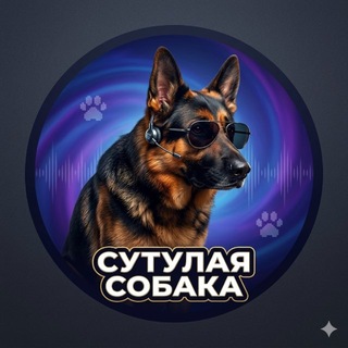 Сутулая_собака