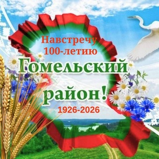 Гомельский район_официальный