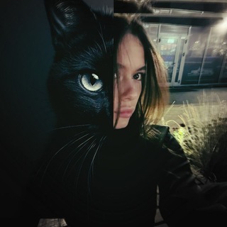 горыныч🐈‍⬛