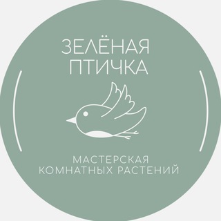 Зеленая птичка - мастерская растений🪴