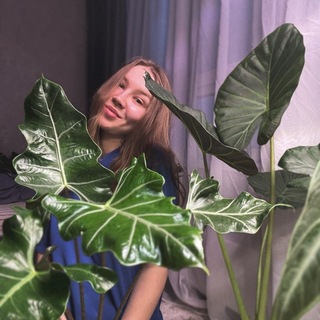GreenKo