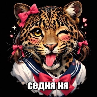 халя вши