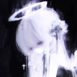 san | スター