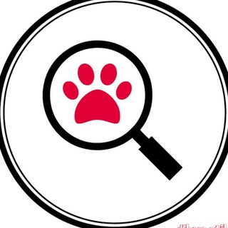 ПОТЕРЯШКИ,Волгоградская область🐾