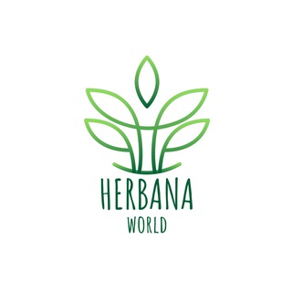 🌿Herbana.World | Справочник Лекарственных трав и растений