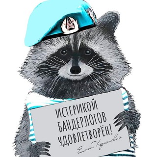 Енот из Херсона🦝