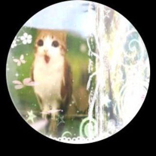 ⊰๑.｡ﾟНюрка ✧*⁠･†↝