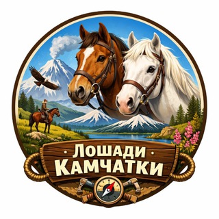 КОННЫЕ ПРОГУЛКИ КАМЧАТКА | Лошади Камчатки