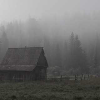house in dense forest