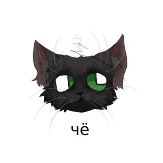 Говард (За кадром)🐈‍⬛
