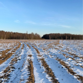 Магнитное поле передает