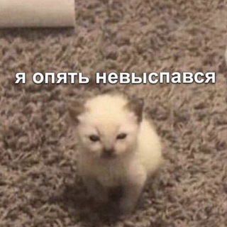 ✨Джейн косплеит✨