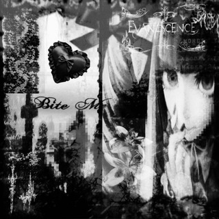 ─ ཐི ⋅ ᴋᴀrihiʍᴇ’s shᴀdᴇ ⋅ ཋྀ ─