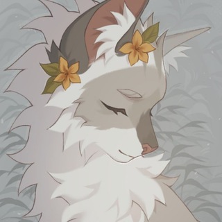 🌻Katsu🌱