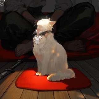 к(о/а)тя